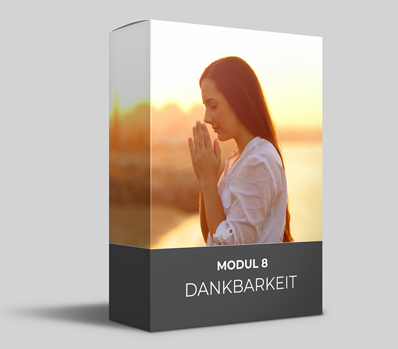 Angebot: OYH Videokurs und King & Queen Videokurs