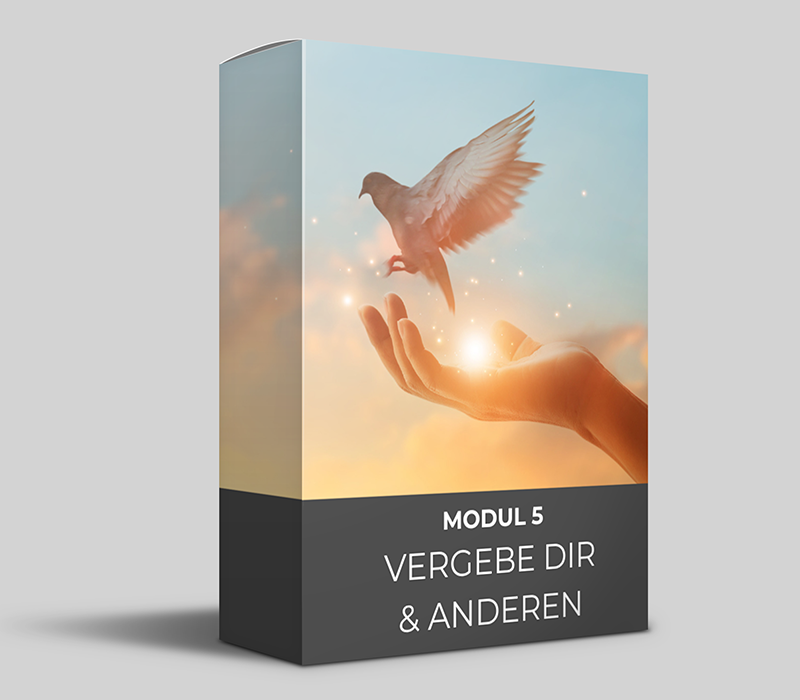 Angebot: OYH Videokurs und King & Queen Videokurs