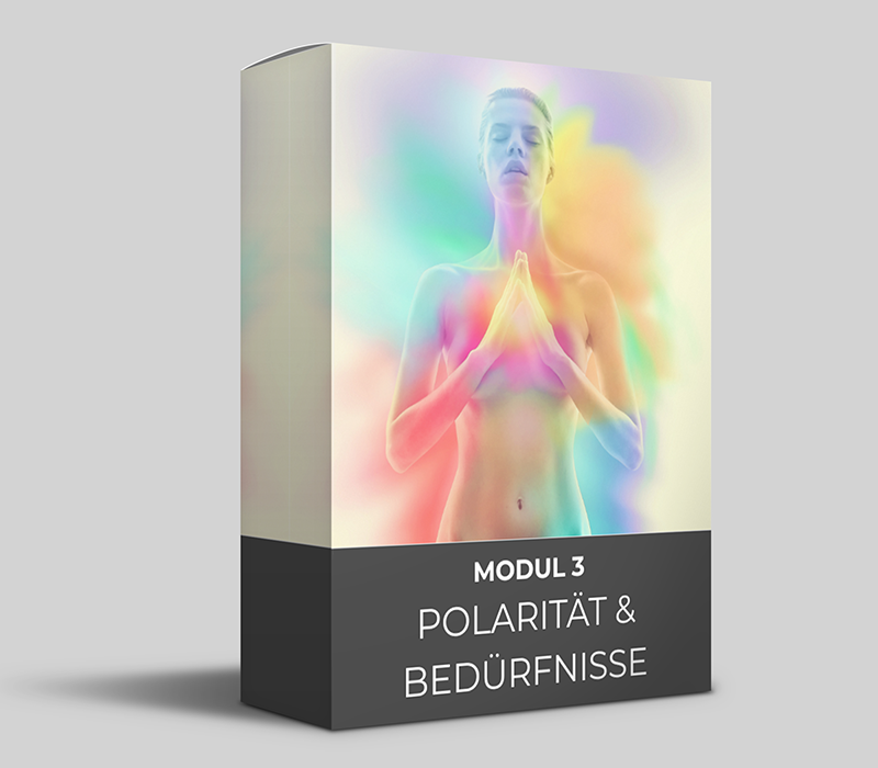 Angebot: OYH Videokurs und King & Queen Videokurs