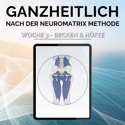 Online Faszientraining 8 Wochen + 5 Wochen Bonusinhalte