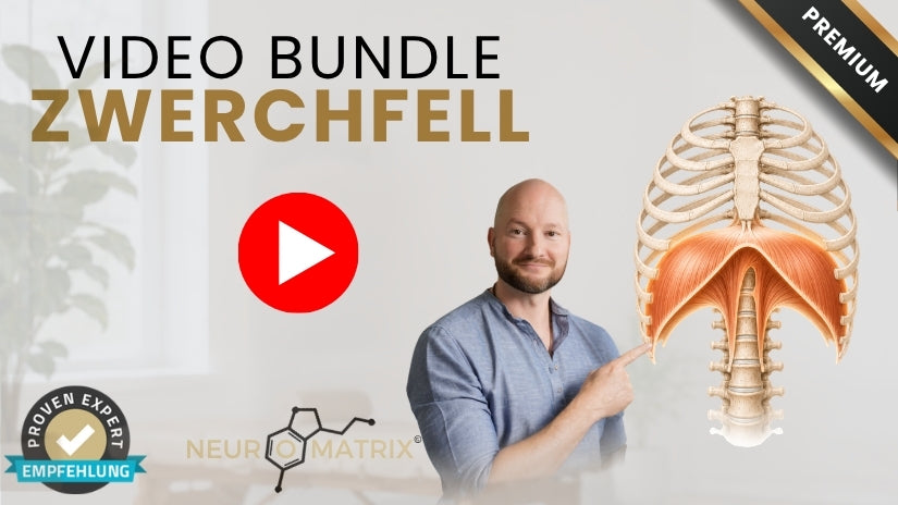 VIP Paket zur Body & Mind Revolution 4.0
